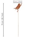 Metal Bird Garden Stake with Rustic Finish, 52cm | Floristik24.co.uk
