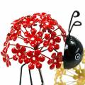 Floristik24 Garden plug flower ladybug red, yellow assorted 2pcs