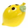 Floristik24 Earthenware vase lemon yellow 15cm