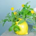 Floristik24 Earthenware vase lemon yellow 15cm