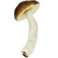 Floristik24 Porcini mushroom brown H8cm - 20cm 6pcs