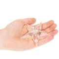 Acrylic Hanging Star Decoration Iridescent Clear 9cm Set of 6 | Floristik24.co.uk