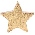 Wooden Decorative Star with Gold Coating 5cm - Set of 9 for Table Decoration | Floristik24.co.uk