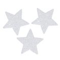 Floristik24 Stars White 6,5cm with mica 36pcs