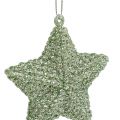 Floristik24 Star with mica mint green 7.5cm 12pcs