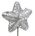 Floristik24 Star with glitter silver 3,5cm 12pcs
