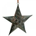 Floristik24 Christmas hanger Star Metal Star Black H19cm