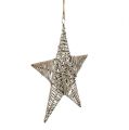 Floristik24 Star for hanging light brown 35cm 1pc