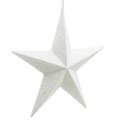 Floristik24 Glitter stars to hang white Ø21cm 3pcs