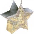 Floristik24 Decorative star metal for hanging and decorating Golden Ø13cm