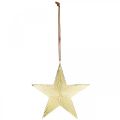 Floristik24 Gold star, Advent decoration, decoration pendant for Christmas 12 × 13cm 2pcs