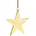 Floristik24 Gold star, Advent decoration, decoration pendant for Christmas 12 × 13cm 2pcs