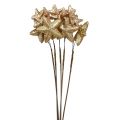 Floristik24 Stars bundled with glitter gold 60cm 5pcs