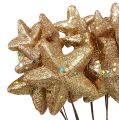 Floristik24 Stars bundled with glitter gold 60cm 5pcs