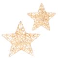 Floristik24 Set of Decorative Wire Stars in Gold – 12 Pieces, Two Sizes (10cm and 7cm)