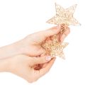Set of Decorative Wire Stars in Gold – 12 Pieces, Two Sizes (10cm and 7cm) | Floristik24.co.uk