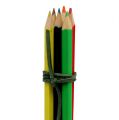 Floristik24 Pencil bundle plug colored 10pcs