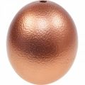 Floristik24 Ostrich egg decoration blown out Easter decoration copper Ø12cm H14cm