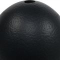 Ostrich Egg Decoration Blown Out Easter Decoration Black Ø12cm H14cm | Floristik24.co.uk