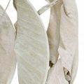 Floristik24 Strelitzia leaves washed white dried 45-80cm 10p