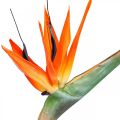 Floristik24 Strelizie reginae artificial flower orange bird of paradise L85cm