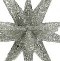 Floristik24 Glitter Stars Champagne 11,5cm 4pcs