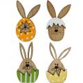 Floristik24 Litter decoration bunny in egg, gift decoration, bunny egg to decorate, wood decoration to stick on 12pcs