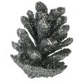 Floristik24 Pine cones silver 3cm 48pcs