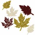 Floristik24 Scattered autumn leaves felt bordeaux / cream / green 72pcs