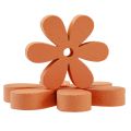 Floristik24 Scatter decoration wood flowers blossoms orange summer Ø2–6cm 20pcs