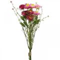 Floristik24 Rhodanthe pink-pink, silk flowers, artificial plant, bunch of straw flowers L46cm