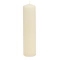Floristik24 Pillar candles cream Advent candles candles 200/50mm 24pcs