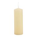 Floristik24 Pillar candles cream Advent candles cream 150/50mm 24pcs