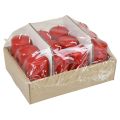 Pillar candles H100 Ø50cm red candles 12pcs | Floristik24.co.uk