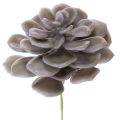 Floristik24 Artificial Wax Succulent Set, 10cm, Grey-Green, 6 Pieces