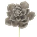 Floristik24 Künstliche Waxed Succulent with Wire Stem, Grey-Green, 8cm Diameter, Set of 8