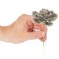 Künstliche Waxed Succulent with Wire Stem, Grey-Green, 8cm Diameter, Set of 8 | Floristik24.co.uk
