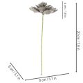Künstliche Waxed Succulent with Wire Stem, Grey-Green, 8cm Diameter, Set of 8 | Floristik24.co.uk