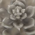 Künstliche Waxed Succulent with Wire Stem, Grey-Green, 8cm Diameter, Set of 8 | Floristik24.co.uk