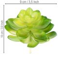 Artificial Green Succulent Set for Bowls or Vases, 10cm, 4 Pieces | Floristik24.co.uk
