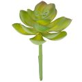 Floristik24 Artificial Succulent Plant Green, 9 cm Height, Decorative for Indoor Use