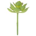 Artificial Succulent Plant