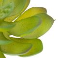 Artificial Succulent Plant