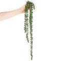 Artificial Succulent Hanging Garlands, 80 cm, Green, Indoor Decoration | Floristik24.co.uk