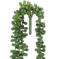 Artificial Succulent Hanging
