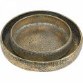 Floristik24 Oriental metal bowl, decorative vessel for planting Golden, antique look Ø49 / 38cm, set of 2