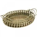 Floristik24 Metal bowl with handles, decorative tray set golden antique look L39 / 33.5 / 28.5cm set of 3