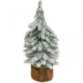 Floristik24 Decorative Christmas tree, winter decoration, fir tree with snow H19cm