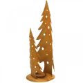 Floristik24 Lantern Christmas trees, metal decoration in patina, Christmas H46cm W25.5cm