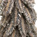 Floristik24 Pine cones, Christmas decorations, snow-covered winter fir, washed white H40cm Ø18cm